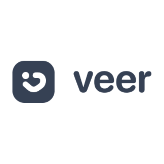 Veer Search logo